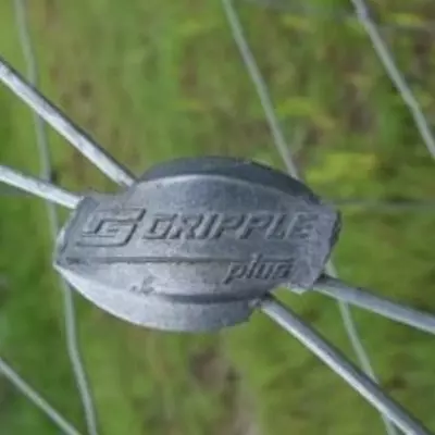 Gripples